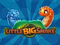 Little Big Snake – Survive and Thrive in This Slithering Adventure