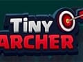 Tiny Archer – Free Physics-Based Shooter Game